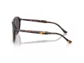 Ray-Ban Sonnenbrille RB 2215 902/B1