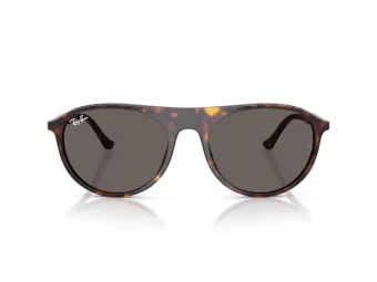 Ray-Ban Sonnenbrille RB 2215 902/B1