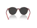 Ray-Ban Bernard Sonnenbrille RB 2230 141948