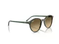 Ray-Ban Bernard Sonnenbrille RB 2230 14210A