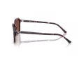 Ray-Ban Raimond Sonnenbrille RB 2231 1416C5