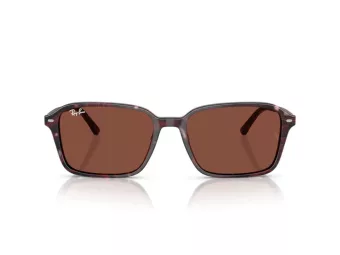 Ray-Ban Raimond Sonnenbrille RB 2231 1416C5
