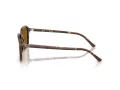 Ray-Ban Raimond Sonnenbrille RB 2231 141833