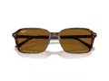 Ray-Ban Raimond Sonnenbrille RB 2231 141833