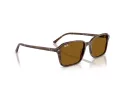 Ray-Ban Raimond Sonnenbrille RB 2231 141833