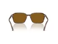 Ray-Ban Raimond Sonnenbrille RB 2231 141833
