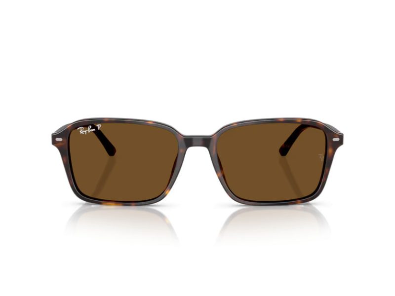 Ray-Ban Raimond Sonnenbrille RB 2231 902/57