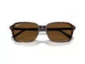 Ray-Ban Raimond Sonnenbrille RB 2231 902/57