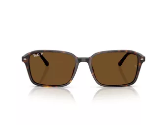 Ray-Ban Raimond Sonnenbrille RB 2231 902/57