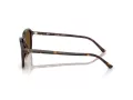 Ray-Ban Raimond Sonnenbrille RB 2231 902/57