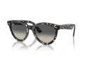 Ray-Ban Wayfarer Way Sonnenbrille RB 2241 133371