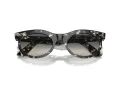 Ray-Ban Wayfarer Oval Sonnenbrille RB 2242 133371
