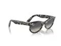 Ray-Ban Wayfarer Oval Sonnenbrille RB 2242 133371