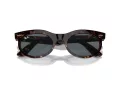 Ray-Ban Wayfarer Oval Sonnenbrille RB 2242 902/R5