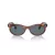 Ray-Ban Wayfarer Oval Sonnenbrille RB 2242 954/3R