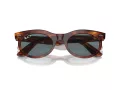 Ray-Ban Wayfarer Oval Sonnenbrille RB 2242 954/3R