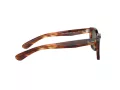 Ray-Ban Caribbean Sonnenbrille RB 2248 954/31