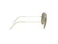 Ray-Ban Shooter Sonnenbrille RB 3138 W3401