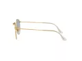 Ray-Ban Round Metal Sonnenbrille RB 3447N 001/3F