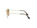 Ray-Ban Round Metal Sonnenbrille RB 3447N 001/Z2