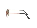 Ray-Ban Round Metal Sonnenbrille RB 3447 9002/A6