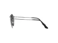 Ray-Ban Round Metal Sonnenbrille RB 3447 9229/B1