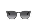 Ray-Ban Erika Metal Sonnenbrille RB 3539 192/8G