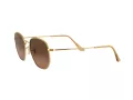 Ray-Ban Hexagonal Sonnenbrille 3548N 912443