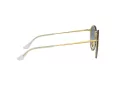 Ray-Ban Blaze Round Sonnenbrille RB 3574N 001/X0