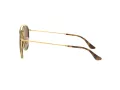 Ray-Ban Sonnenbrille RB 3647N 001/57