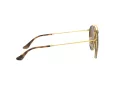 Ray-Ban Sonnenbrille RB 3647N 001/57
