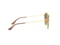 Ray-Ban Sonnenbrille RB 3647N 001/7O