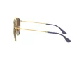 Ray-Ban Sonnenbrille RB 3647N 001/9U