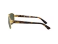 Ray-Ban Sonnenbrille RB 3663 001/31