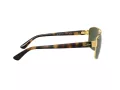 Ray-Ban Sonnenbrille RB 3663 001/31