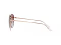 Ray-Ban Sonnenbrille RB 3680D 9202I8