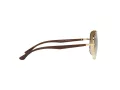Ray-Ban Sonnenbrille RB 3683 001/51
