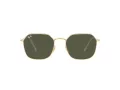 Ray-Ban Jim Sonnenbrille RB 3694 001/31