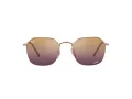 Ray-Ban Jim Sonnenbrille RB 3694 9202/G9