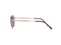 Ray-Ban Jim Sonnenbrille RB 3694 9202/G9