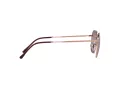 Ray-Ban Jim Sonnenbrille RB 3694 9202/G9