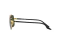 Ray-Ban Sonnenbrille RB 3699 9000/31