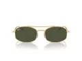 Ray-Ban Sonnenbrille RB 3719 001/31