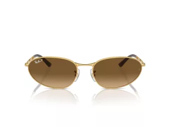 Ray-Ban Sonnenbrille RB 3734 001/M2