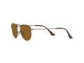 Ray-Ban Elon Sonnenbrille RB 3958 9228/33