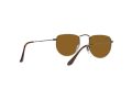Ray-Ban Elon Sonnenbrille RB 3958 9228/33