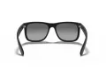Ray-Ban Justin Sonnenbrille RB 4165 622/T3