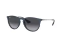 Ray-Ban Erika Sonnenbrille RB 4171 6002/8G