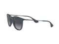 Ray-Ban Erika Sonnenbrille RB 4171 6002/8G