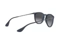 Ray-Ban Erika Sonnenbrille RB 4171 6002/8G